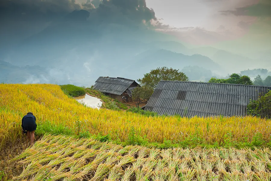 Bac Ha Biking Tour 2 Days